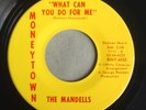 THE MANDELLS What Can You Do For Me MONEYTOWN 4522 Group/Northern Soul 45rpm