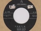 Beach Boys 