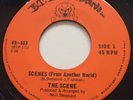 GARAGE PSYCH The Scene SCENES FROM ANOTHER WORLD B.T. Puppy 45 rare Canadian