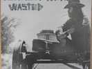VERNON WRAY   Wasted   Vermillion V1972W    Folk/Psych  Link Wray