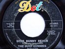 HEAR Surf Bunnies 45 Our Surfer Boys/Bunny Beach DOT 16523 teen rocker hot rod