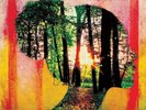 John Brown's Body - Fireflies VINYL LP NEW/ MINT (21ST OCTOBER)