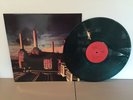 PINK FLOYD - ANIMALS -GREEN COLORED VINYL -BRAND NEW IMPORT LP * SEE DESCRIPTION