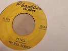 The Soul Benders 45 Petals/Seven and Seven Is Phantasm 2568 Rare Michigan Garage