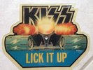 KISS Lick It Up 1983 UK Shaped PICTURE DISC Vinyl LP Vinnie Vincent GENE SIMMONS