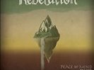 Peace of Mind (Dub) by Rebelution (Vinyl, May-2012, Controlled Substance)