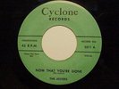 RARE & GREAT NYC DOO WOP 2 SIDED KILLER 