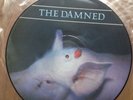 THE DAMNED Strawberries 12