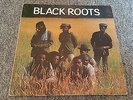 BLACK ROOTS - Black Roots (Vinyl LP KIC LP02)