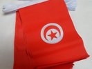 GUIRLANDE 6 mètres 20 DRAPEAUX TUNISIE 21x15 cm - DRAPEAU TUNISIEN 15 x 21 cm -