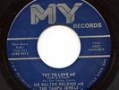 HEAR- Rare Garage / Soul 45 - Sir Walter Raleigh & Tampa Jewels - Try To Love Me
