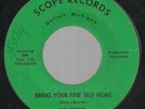 SCARCE-DETROIT NORTHERN SOUL-SCOPE RECORD-SOULETTES-BRING YOUR FINE SELF HOME-45