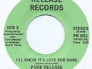 MODERN SOUL FUNK - PURE RELEASE 