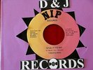 TIM STEVENS  GIVE IT TO ME  NEAR MINT  NIP PRIVATE PRESS MODERN BOOGIE   SOUL 45