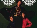 The Jimi Hendrix Experience-Are You Experienced  Vinyl / 12