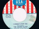 CHERRY SLUSH i cannot stop you HEAR EX 60s GARAGE beat MOD psych