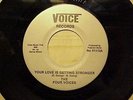 GREAT DETROIT NORTHERN SOUL/ GROUP 45 