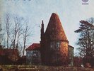 Daddy Longlegs Oakdown Farm GERMAN SWIRL Vertigo Vinyl LP