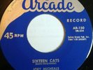 RARE ( ROCKABILLY 45 ) 1958 - JOEY MICHEALS (MICHAELS) SIXTEEN CATS - NM