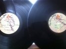 BONZO DOG BAND 2 X 12