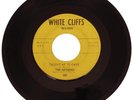 THE ANTIQUES Northern Soul 45 Record WHITE CLIFFS Taught Me to Care 