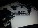 MARE self-titled (BLUE SWIRL VINYL) LP avant sludge metal Isis The End melvins