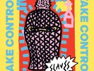 Slaves - Take Control - Vinyl LP Album (Released 30th September 2016) Brand New