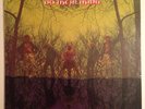 American Blues Do Their Thing Vinyl LP Hard Psych RARE Original