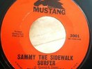 Surf Girl Group 45 The Surfettes Sammy The Sidewalk Surfer /Blue Surf 7