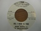 Buddy Randell & The Knickerbockers - Bite Bite Barracuda 45 Hot Rod Challenge