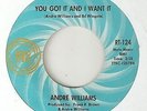 ANDRE WILLIAMS You Got It And I Want It RIC TIC DETROIT  NORTHERN SOUL 45