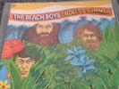 The Beach Boys Endless Summer Double Record. Excellent Condition.