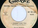 THE DU DROPPERS I Wanna Love You PROMO WLP R&B 45 on GROOVE