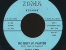 CUTTY SARK Night Of The Sadist / RARE girl - garage ZUMA 45 Texas / HEAR IT 