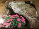LP * 725193 - CHRISTIAN FUNKE PLAYS VIOLIN ENCORES - ETERNA * 1988 /A