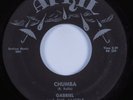 Instrumental Tittyshaker 45 GABRIEL & THE ANGELS Chumba APRIL HEAR