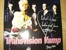 TRANSVISION VAMP 