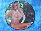 CHEESECAKE SEXY NUDE Picture Disc LP SAMANTHA FOX II - LIMITED EDITION INTERVIEW