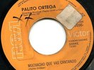 PALITO ORTEGA un dia de invierno LATIN SKA Argentina LISTEN el salvador press