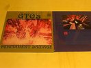 GTO'S - PERMANENT DAMAGE-LP reissue of 1969-Art Rock-with Zappa-foc-Klappcover
