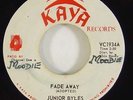 Junior Byles 