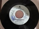 Death Politicians In My Eyes 45 RPM Record on TRYANGLE RECORDS ORIGINAL 1976