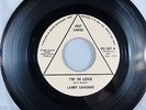 Larry Sanders You're My Girl I'm In Love Hot Cakes 201 1960s Northern Soul VG+