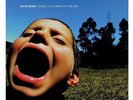 Have Heart - Songs To Scream At The Sun COLORED 12
