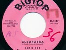 Jamie Coe 