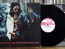 Lenny Kravitz ?- Are You Gonna Go My Way **Original UK Virgin America VUSLP 60**