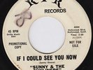 SUNNY & THE SUNLINERS If I Could See You Now RARE northern soul 45 sweet soul