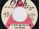 TAN GEERS Let My Heart And Soul Be Free NORTHERN SOUL Whats The Use Of Me Trying