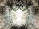 DARK FORTRESS - YLEM  2 VINYL LP NEU