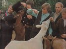 the beach boys pet sounds lp mono original uk